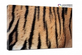 skóra tygrys120x90cm