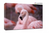 różowe flamingi 120x90cm