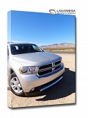 Dodge 50x30cm