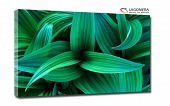 zielone liście makro 55x40cm