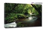 USA National Park las woda 50x30cm