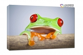 zielona żaba 70x50cm