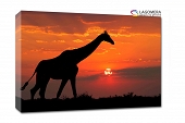 Żyrafa zachód słońca 120x90cm