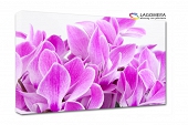 fioletowe kwiaty 55x40cm