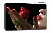 róża dłoń kobieta usta 70x50cm