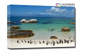 pingwiny na plaży 100x70cm