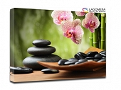storczyk misa kamienie spa 120x90cm