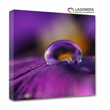 kropla rosy 50x30cm