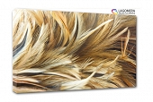 pióra kury makro 120x90cm