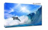 delfin na fali 50x30cm